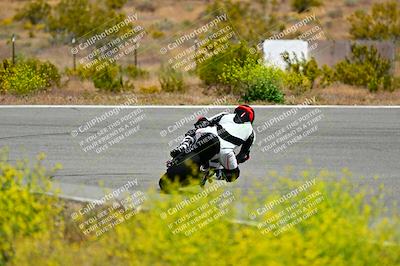 media/May-10-2024-2WTD (Fri) [[c88d7990af]]/Group C/Session 2-The Bowl/